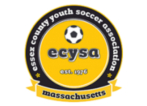 ecysa_logo_color_5.png