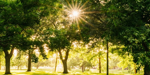 park.jpg